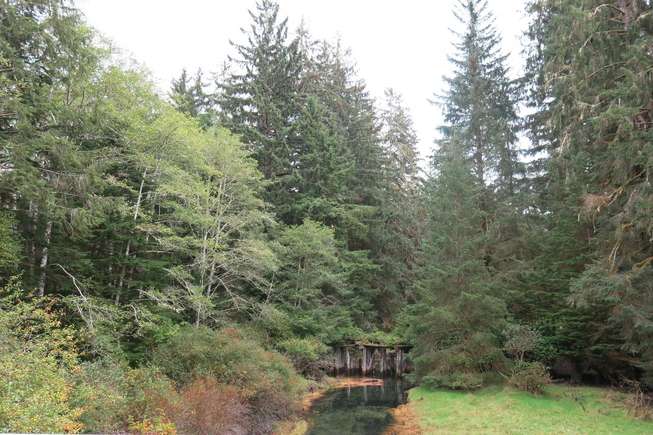 A Shack In The Woods Villa Порт Ренфрю Екстериор снимка